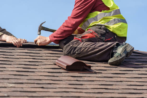 Best Metal Roofing Contractor  in Zeeland, MI