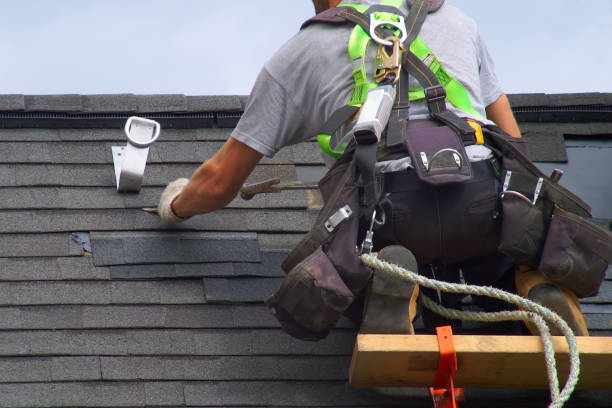 Best Metal Roofing Contractor  in Zeeland, MI