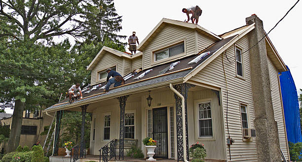 Best Roof Gutter Cleaning  in Zeeland, MI