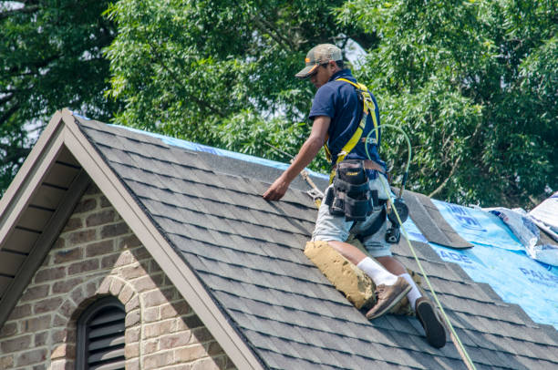 Quick and Trustworthy Emergency Roof Repair Services in Zeeland, MI